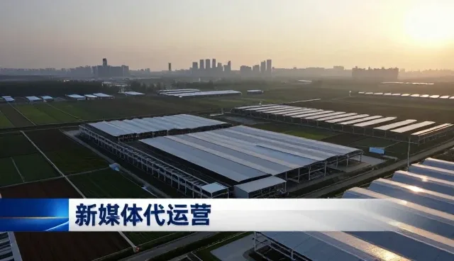 媒介投放性能差异及适用场景分析