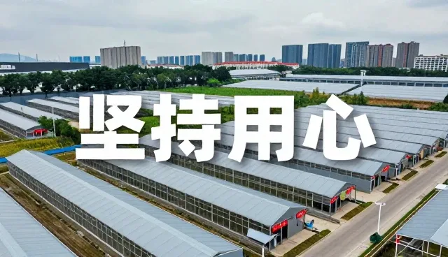 宠物健康平台如何应对市场趋势的演变