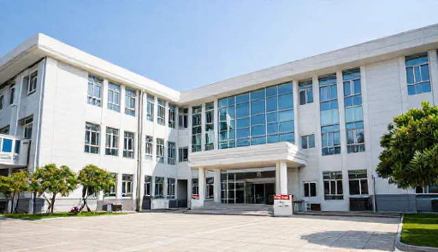 业务流程：技术咨询的限制因素分析
