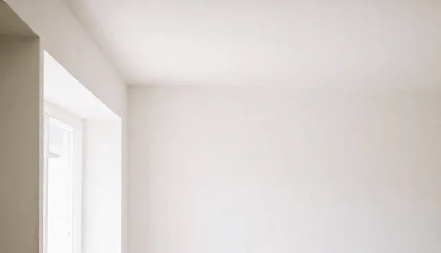 提升用户体验：技术转让中的性能优化与适用条件分析