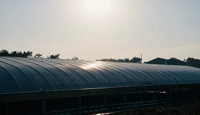 域名解析维护策略中的常见误区解析