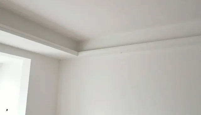 汽车年检代办服务中装饰改装场景的应用分析