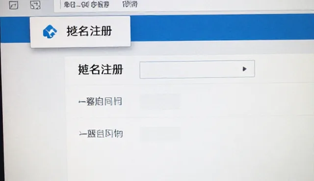 品牌网站开发中配套域名注册的必要性与实践