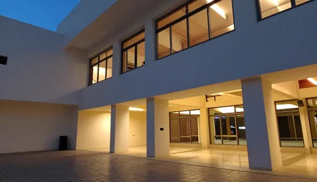 公司专业网站建设，持续服务保障网站性能优化