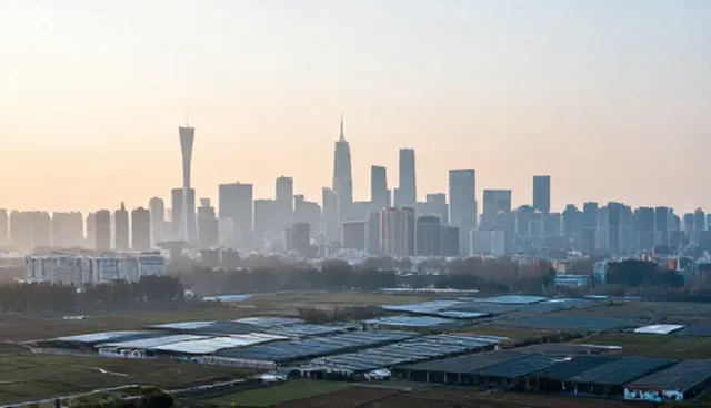 品牌建设服务包适用边界：哪些场景适合使用，哪些情况需谨慎