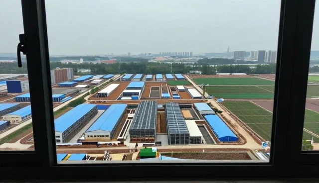 教辅资料在素质拓展场景中的适配性分析