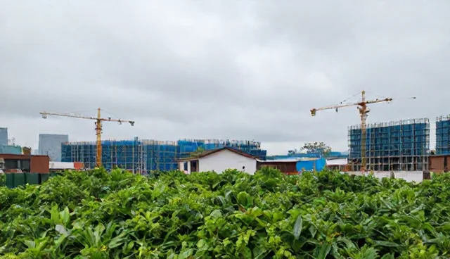 提升内容效率：域名与服务器管理的实战应用分析