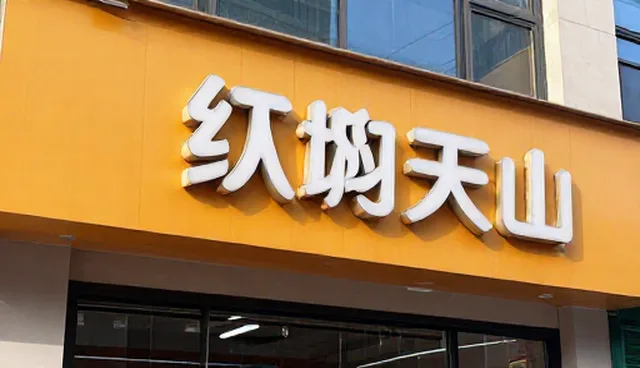 项目管理在系统集成中的关键作用与实际应用分析