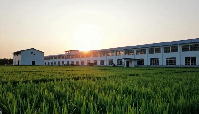 运维服务如何驱动成果转化与性能优化