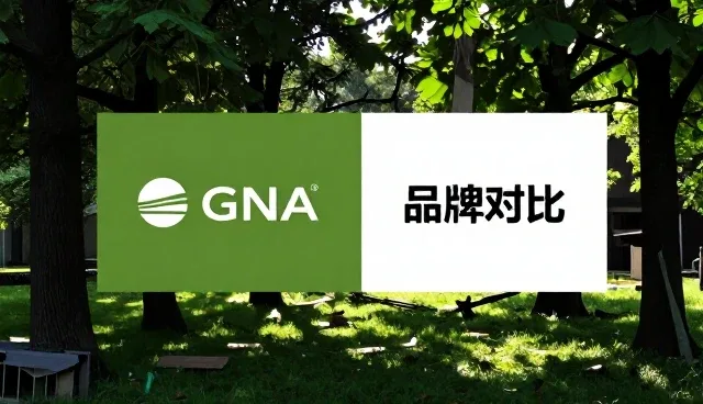 创建外贸网站：品牌对比中如何突出教育机构特色