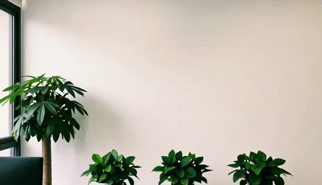 运维服务选型关注点：技术研究与实际取舍