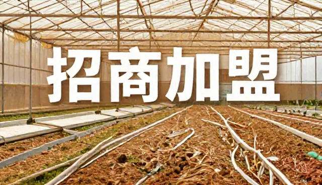 高端建设网站，打造信息传播新高地