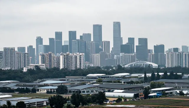 信息咨询如何应对不同场景下的检查要点问题