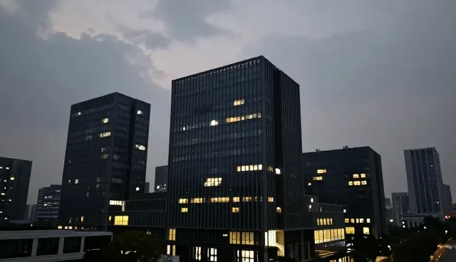 项目管理服务在何种条件下更有效