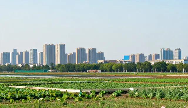 企业战略实施中的管理维护策略与实践建议