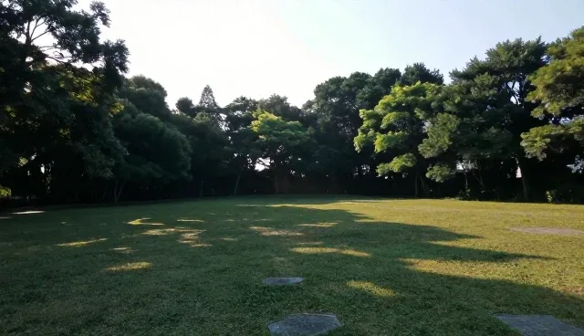 AI区域优化服务，提升选型关注点