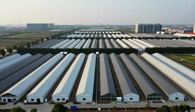 视频剪辑平台规则：选型时的关键关注点
