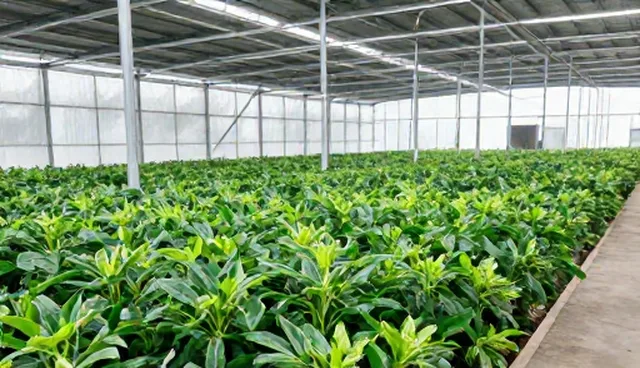 冷链配送选型中的关键考量因素与优化路径