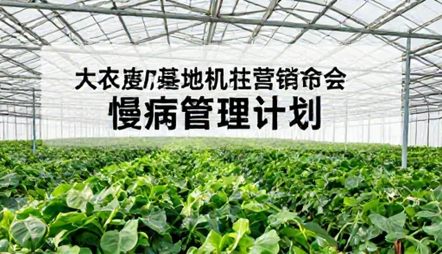 慢病管理计划适用情况与限制分析