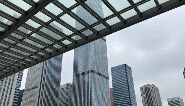 信息驱动下的技术支持：软件项目应用场景深度解析