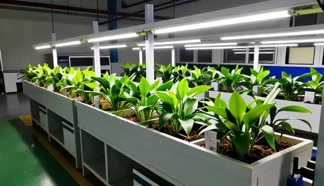 文化传媒项目选型关注点：流程优化的两种做法对比