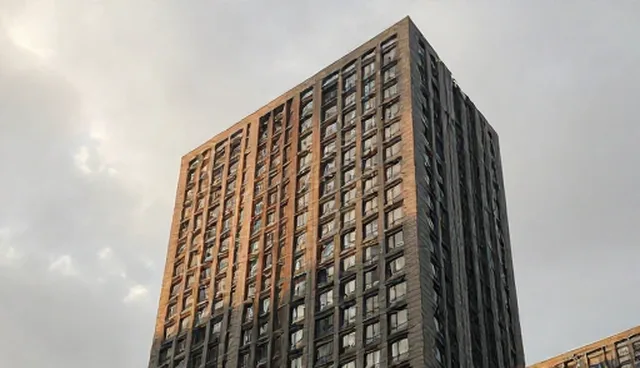 日常保洁中工具选择对清洁效率的影响分析