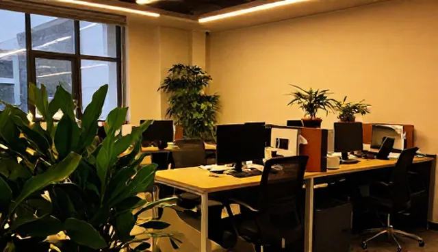 信息发布性能与适用条件分析：厂商名录的使用场景与限制