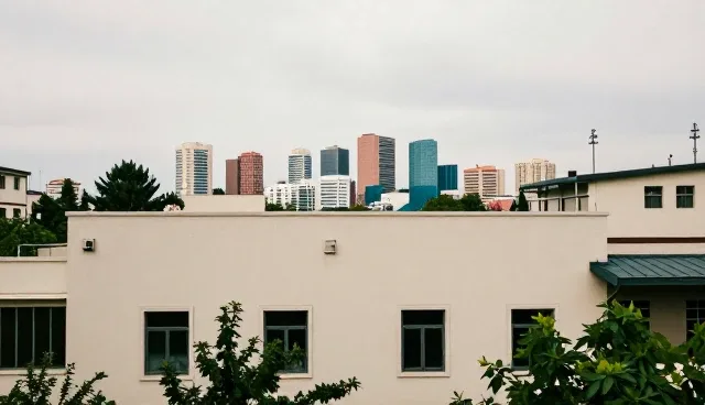 数据采集分析中的软件维护问题与应对策略