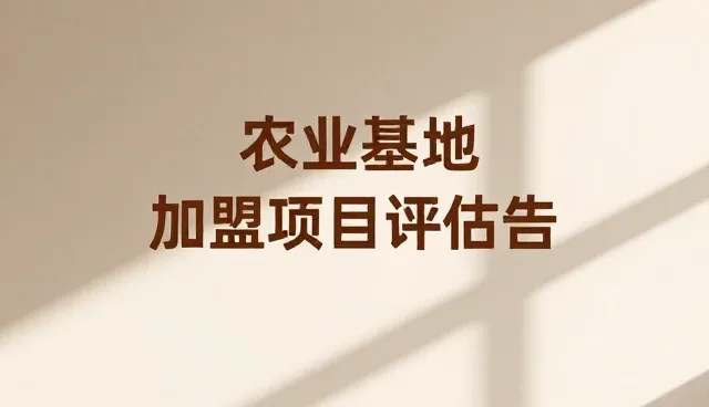 零售门店选址：关键因素与实际操作指南