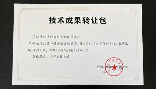 选型关注点如何影响效率改进，技术支持是关键