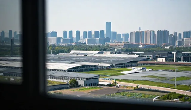 商务代理服务的适用边界：哪些情况下适合使用，哪些情况下受限