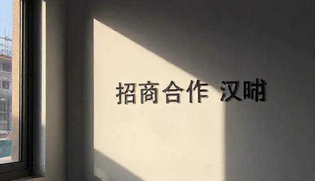 招商合作中如何平衡性能与适用条件？
