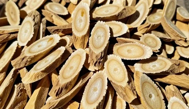构建高效沟通机制 推动渠道供货业务优化升级