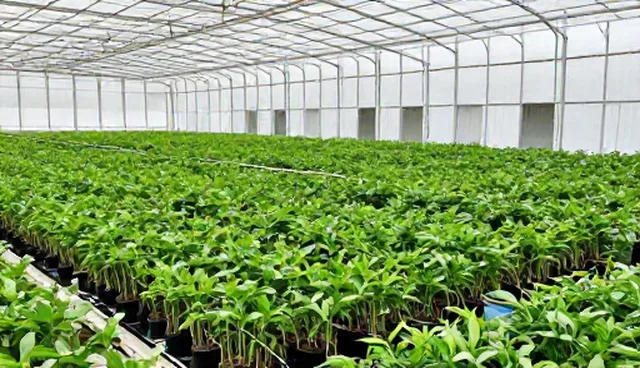 农产品收购价格波动如何影响销售利润
