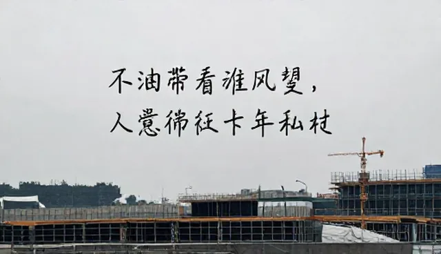 不同地区业务趋势下广告投放性能与适用条件分析