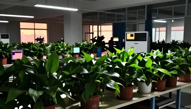提升团队效率的常见问题与处理方法
