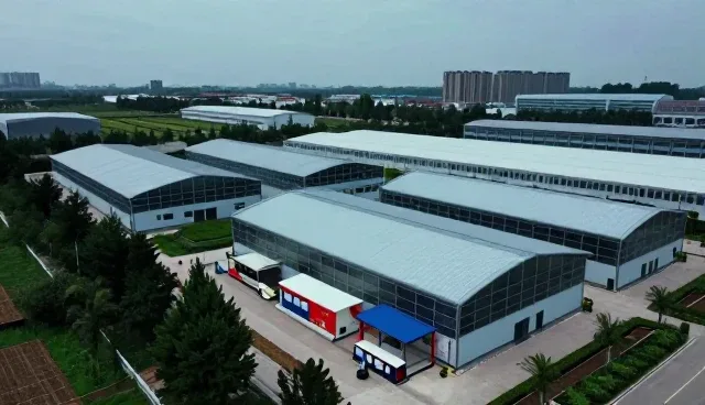 师资培训中的适配方案：如何实现个性化教学