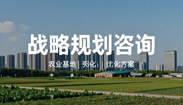 战略规划咨询在业务发展趋势中的性能表现与适用条件