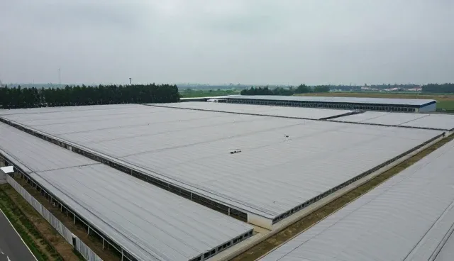 防腐材料分装工艺对性能稳定性的影响分析