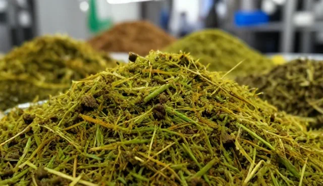 材料科学视角下助剂供应的技术方案应用场景解析