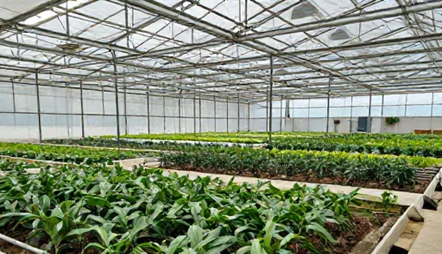 数据驱动下的AI搜索优化：性能与适用场景的深度解析
