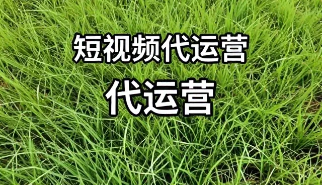丹东市供求信息网：视频内容助力电商运营注重成本控制