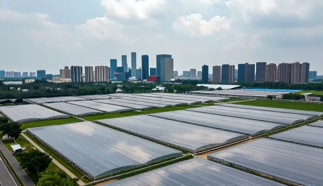 数字化建设中系统故障排查的常见场景与应对