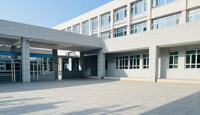 域名加载速度优化：服务器配置与网络环境的取舍