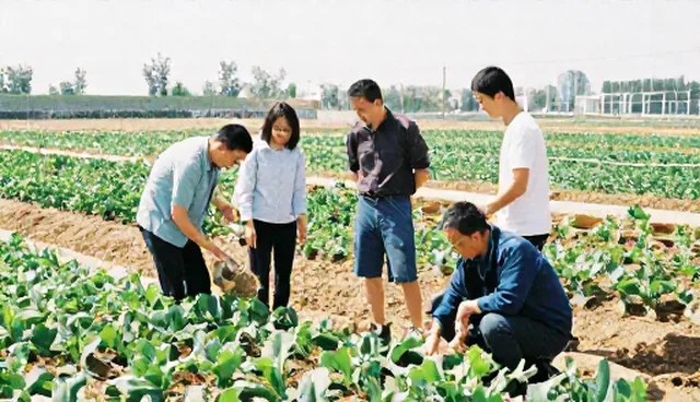农产品种植中技术应用的常见问题与维护建议
