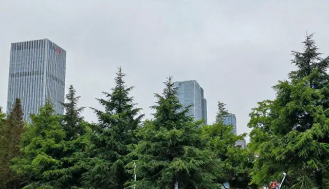 设备维护频率对短视频拍摄效果的影响