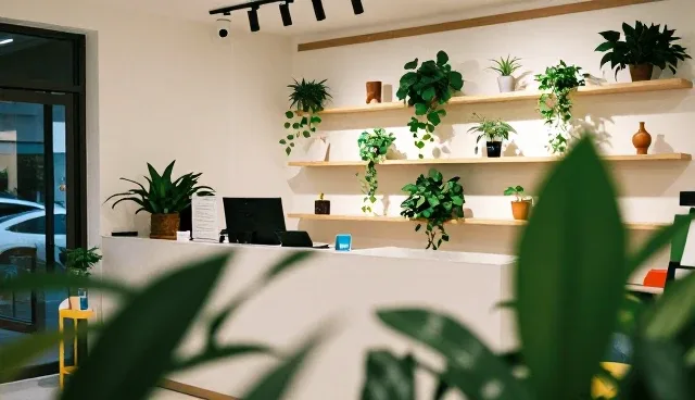 企业官网设计：响应式网站构建的核心逻辑