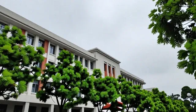 器等服务在多场景下的应用探索与优化路径