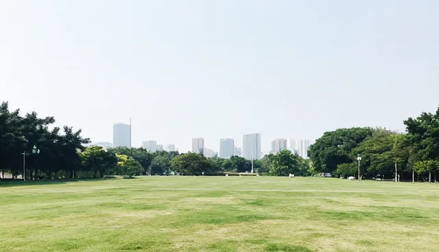 企业名录查询：信息匹配的区域筛选逻辑与选型考量
