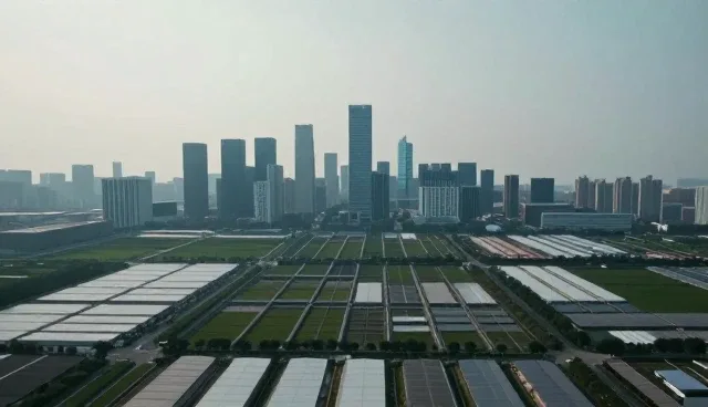 常德百度推广选型关注点：信息查询平台的两个实际环节